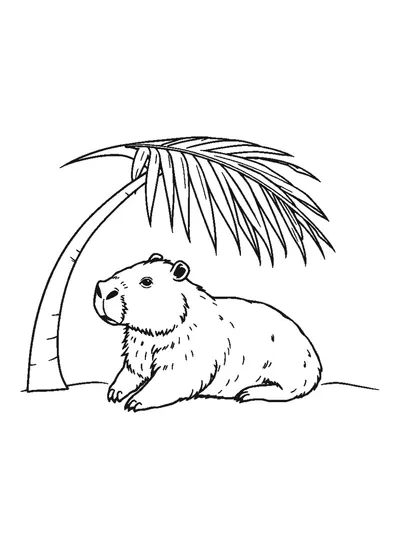 Pálmalevél alatt pihenő capybara — színező
