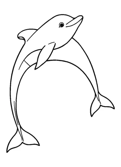 Két együtt úszó delfin — színező