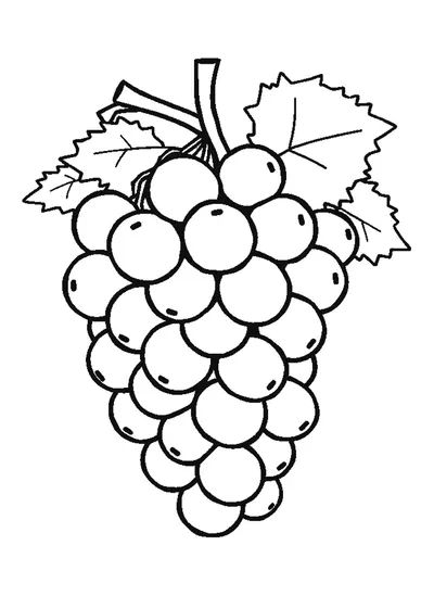Szőlőfürt — színező