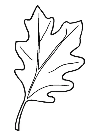 Tölgyfalevél — sablon
