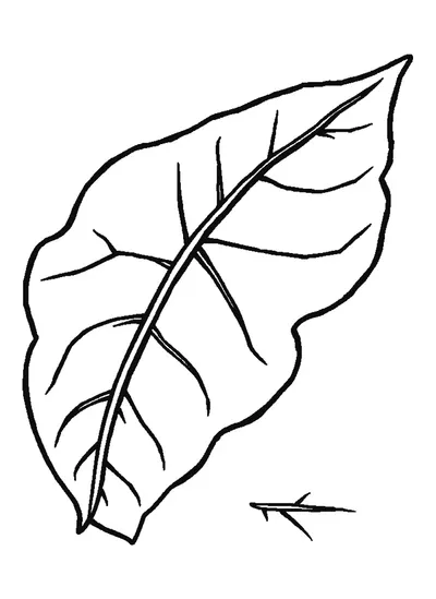 Gesztenyelevél — sablon