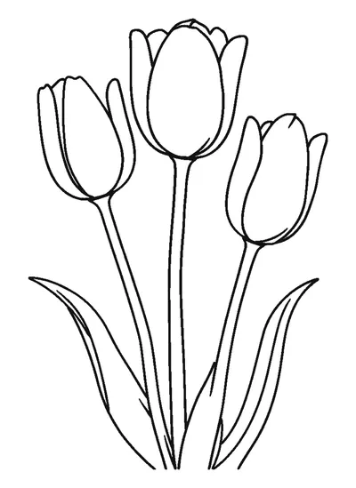 Három tulipán — sablon
