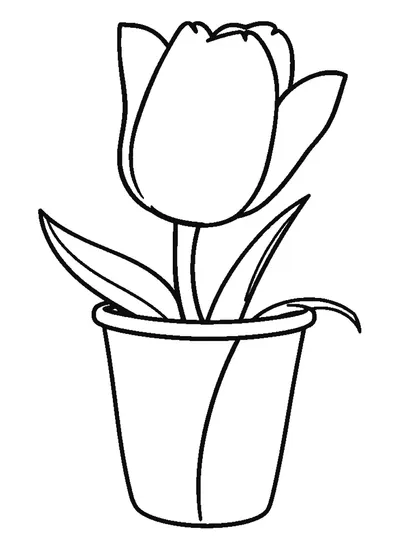 Cserepes tulipán — sablon