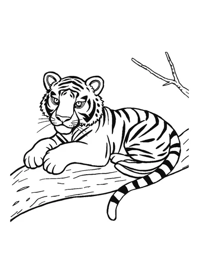 Faágon fekvő tigris — színező